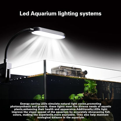 Glass Fish Tank Kit,2.8 Gallon Fish Tank,Small Aquarium, Ultra-Clear Nano Aquarium,Betta Fish Tank,Small Fish Tank,Aquarium Starter kit,Desktop Fish Tank,with Light and Filter