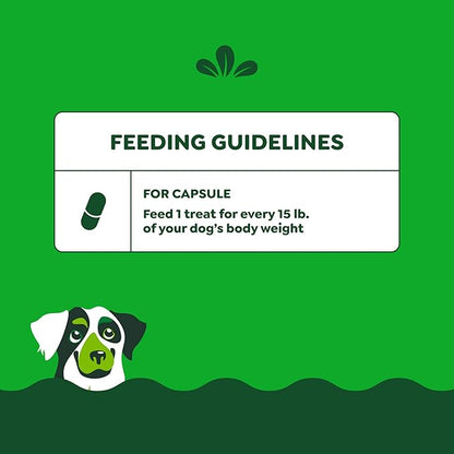 Greenies Pill Pockets for Dogs Large Size, Soft Dog Treats, Chicken Flavor, 7.9 oz. Pouch (30 Treats)