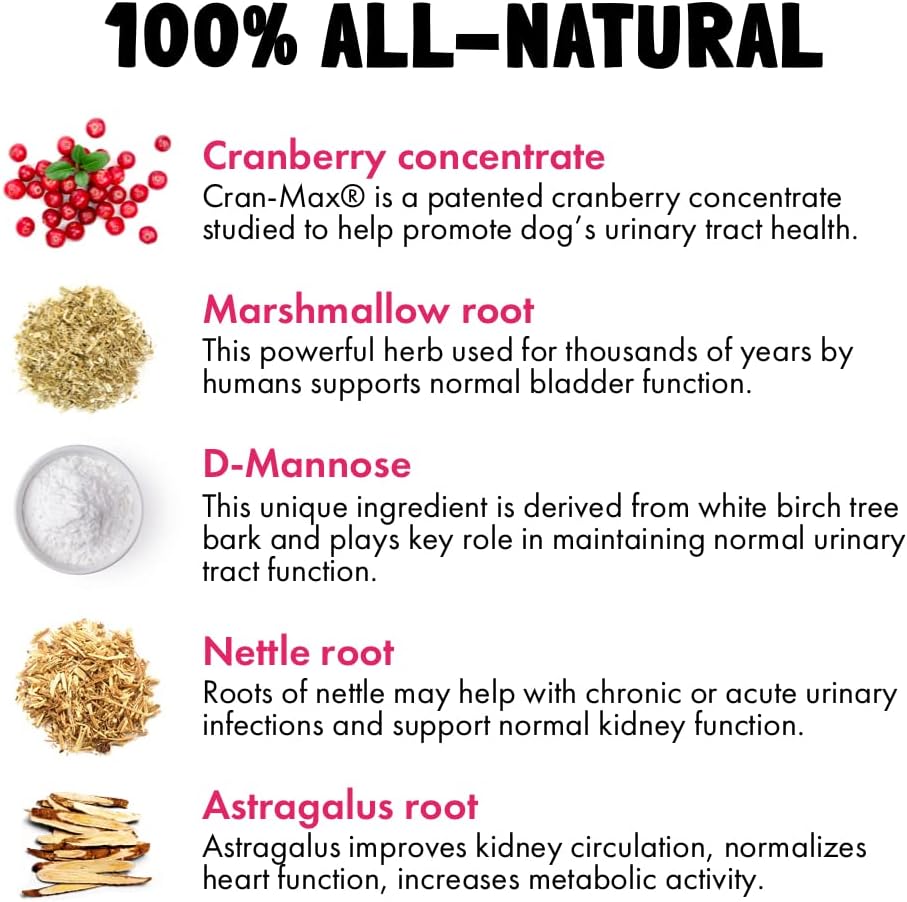 Cranberry UTI Chews for Dogs Bladder Support + D-Mannose Supports Kidney Urinary Tract and Bladder Health Natural Cranberry Wellness Supplement Immune System Booster Natural Pet Antioxidant 30 Chews