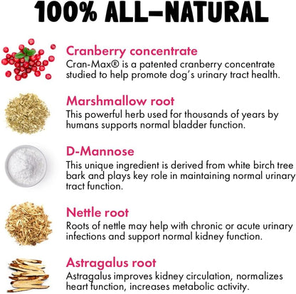 Cranberry UTI Chews for Dogs Bladder Support + D-Mannose Supports Kidney Urinary Tract and Bladder Health Natural Cranberry Wellness Supplement Immune System Booster Natural Pet Antioxidant 30 Chews
