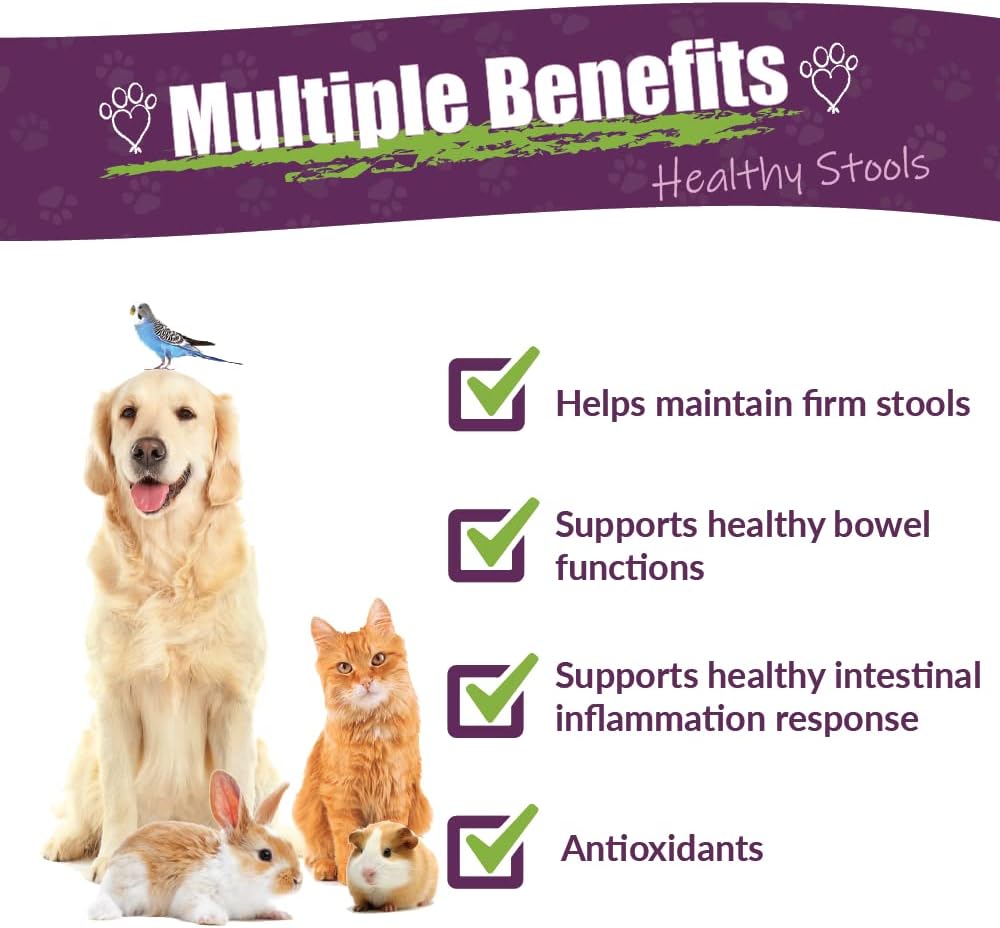 Amber NaturalZ Kochi Free Herbal Supplement for Dogs, Cats, Birds, Rabbits, and Guinea Pigs | Supports Healthy Bowel Function | Natural Aid for Digestive Balance | 4 Fluid Ounce Glass Bottle