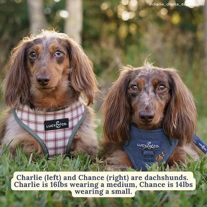 Lucy & Co. Reversible Dog Harness - Water-Repellent Neoprene, Dual-Print Design, Easy Swap Style, Adjustable Comfort Fit - Camp Out Reversible Harness - Large