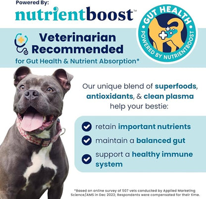 Solid Gold Healthy Dog Treats - Functional Chicken Dog Treat w/Glucosamine Chondroitin for Mobility & Joint Support - Training Treats for Dogs w/Salmon Oil & Superfoods - All Ages & Sizes - 5.2oz