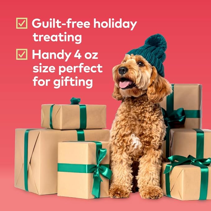 Honest to Goodness Plant Snacks Limited Edition Holiday Apple Spice Recipe Dog Treats, 4oz
