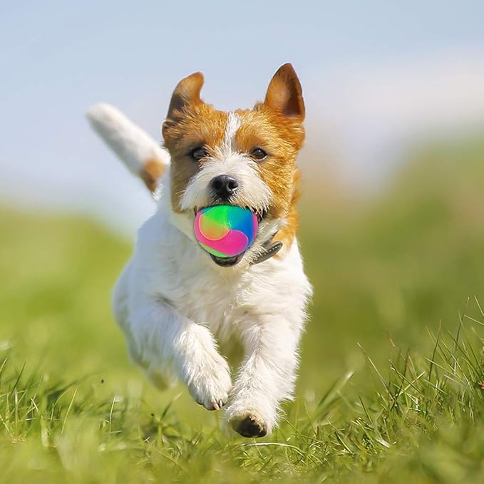 FineInno 4 pcs Light Up Dog Balls Flashing Elastic Ball Glow in The Dark Interactive Pet Toys for Puppy, Cats, Dogs