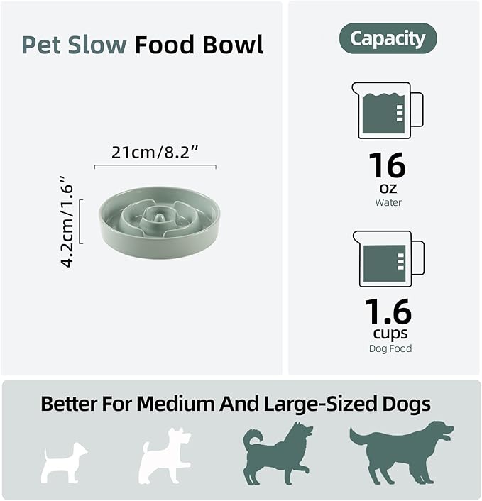 Ceramic 1.6 Cup Slow Feeder Dog Bowl