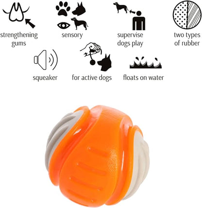 Dingo Toy for Dog, Durable TPR Rubber for chewers, Fetch Toy for Play, Boomerang 9.1", 17395 (Ball dent)