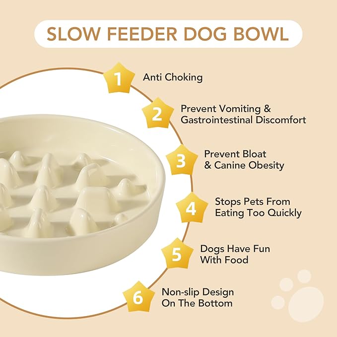 Ceramic 1.6 Cup Dog Raised Slow Feeder Set, Elevated Bowl