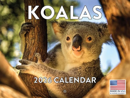Koala Calendar 2026 Monthly Wall Calender 12 Month | American Made In The USA