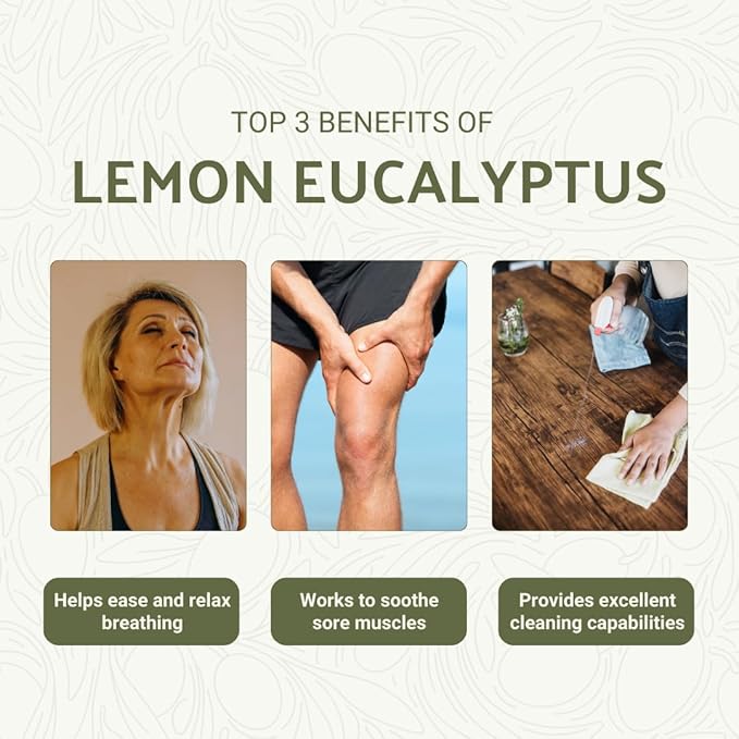 Lemon Eucalyptus Oil by Eucaliptus from Brazil