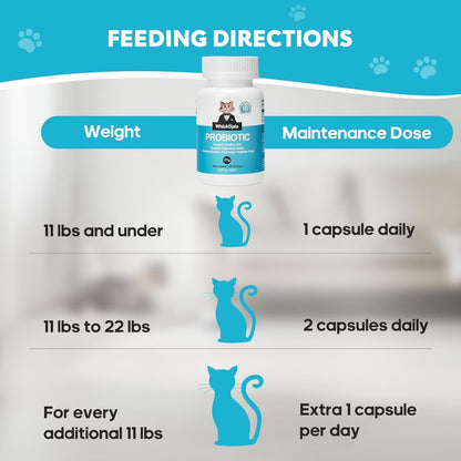 Probiotics for Cats - Cat Probiotic Supplement for Digestive & Gut Support, Diarrhea Relief, Immunity Booster, Cat Probiotic Powder with 9 Billion CFU and Prebiotics, 60 Capsules