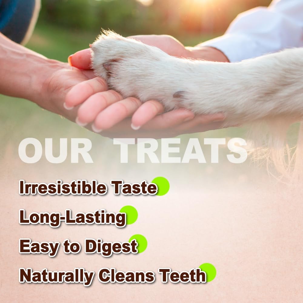 AFreschi Turkey Tendons for Dogs, USA-Sourced, Healthy Dog Treats, Rawhide-Free Puppy Chews, Long Lasting, All Natural, Hypoallergenic Dog Treats for Large Breeds, 1 Count Pack Bone (L)