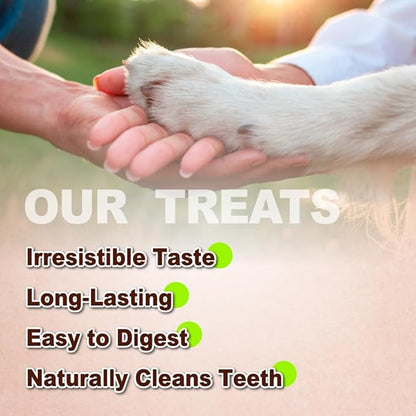 AFreschi Turkey Tendons for Dogs, USA-Sourced, Healthy Dog Treats, Rawhide-Free Puppy Chews, Long Lasting, All Natural, Hypoallergenic Dog Treats for Large Breeds, 1 Count Pack Ring (L)