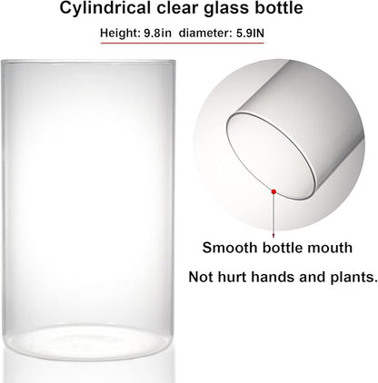Desktop Glass Plant Terrarium with Grow Light (H:9.8" D:5.9"), for Succulent, Moss, Miniature Gardening Landscape, Betta Fish Tank, Office Home Decoration, Plant Lovers Gifts