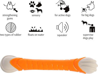 Dingo Toy for Dog, Durable TPR Rubber for chewers, Fetch Toy for Play, Boomerang 9.1", 17395 (Aport dent)