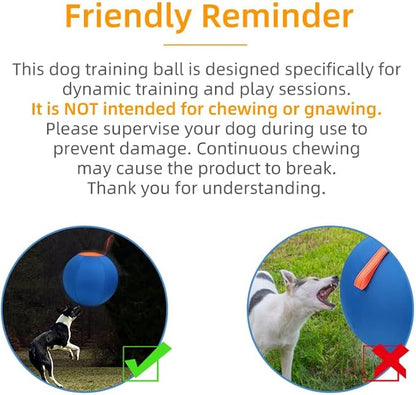Dog Herding Ball for Dogs & Puppies, Toy Balls for Cattle, Australian Shepherd, Non-Chewing Activities, Large Dog Toy | Oxford Fabric Cover, Pump, with Patch Repair Kit (22 inch)