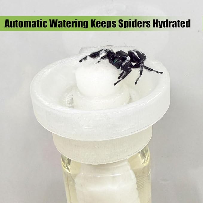 Jumping Spider Water Dispenser, Magnetic Hanging Feeder,Suitable for Jumping Spiders,Tarantulas, Praying Mantises,Arboreal Animals, and Other Small Animal Enclosure Accessories (Transparent, 15ML)