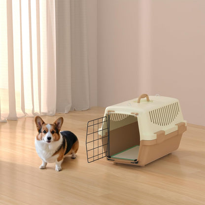 Puppy Training Pads, 50-Count. Fast-absorbing coverage for the early weeks.