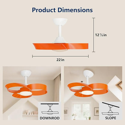 FANX 22 Inch Ceiling Fan with Light and Remote, Quiet DC Motor, Dimmable LED