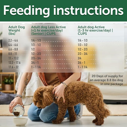 Nature's Protection Dry Dog Food for Small Breed - High Protein, Grain Free, Tear Stain Formula - Dog Kibble for Puppy & Adult Dogs with Red Fur (Superior Care - Lamb, 3.3 lb)