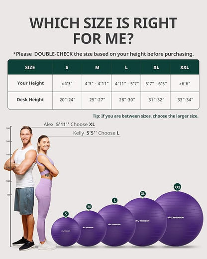 Trideer Exercise Ball for Yoga, Pilates & Fitness – Stability Ball Equipment