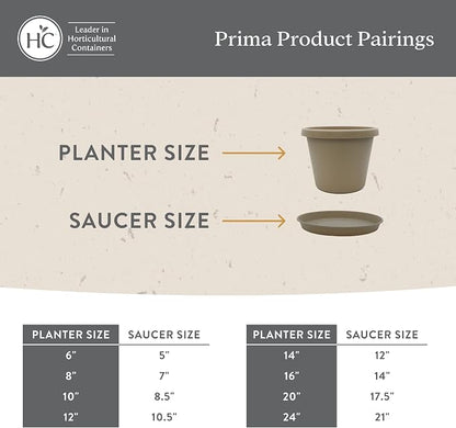 The HC Companies Prima Round Plastic Plant Pot w/Rolled Rim - Lightweight & UV Resistant Flower Pot for Herbs & More - Outdoor & Indoor Plant Pots w/Drainage (8 inch, Honey, Pack of 1)