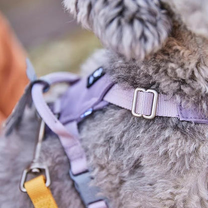 Hurtta Seeker Harness, Honey, 18-24 in