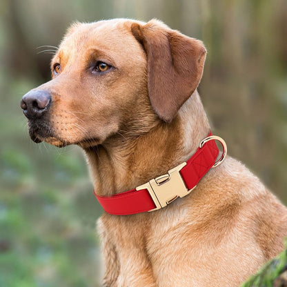 PET ARTIST Soft PU Leather Dog Collar, Bright & Classic Red Dog Collar with Quick Release Rose Metal Buckle, Adjustable Nylon Padded Durable Pet Collars for Medium Dogs Girl, Neck Fit 13-19"
