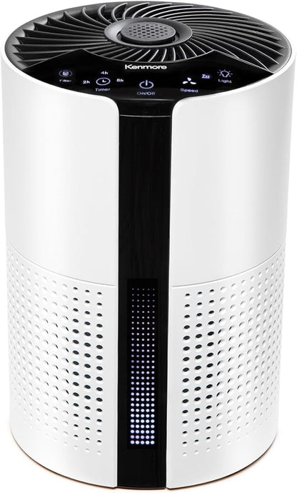 Kenmore PM1010 Air Purifiers for Bedroom Up to 348 Sq.Foot
