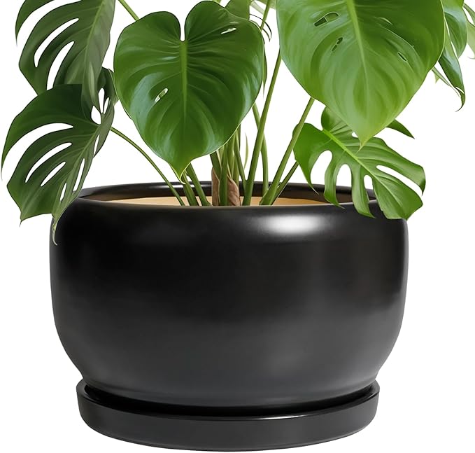SQOWL Ceramic Flower Pot - 10 Inch Planter with Drainage Hole and Saucer, Modern Large Plant Pot Indoor Outdoor, Decorative Round Planter, Bedroom Decor, Gifts for Plant Lovers, Black