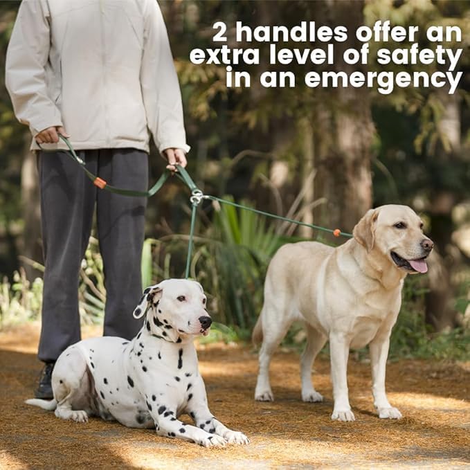 Howgo Double Slip Leash Slip Lead with Two Handles| Dual Dog Slip Lead for 2 Dogs,360° Swivel No Tangle | Dog Training Collar | Double Clip Leash Coupler and Splitter (Red, 6FT)