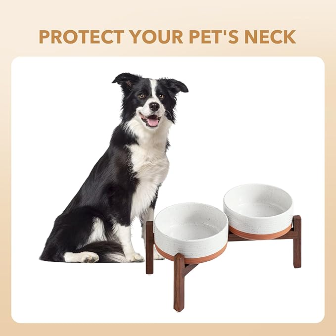 Ceramic 7.3inch Raised Double Dog Bowls Set