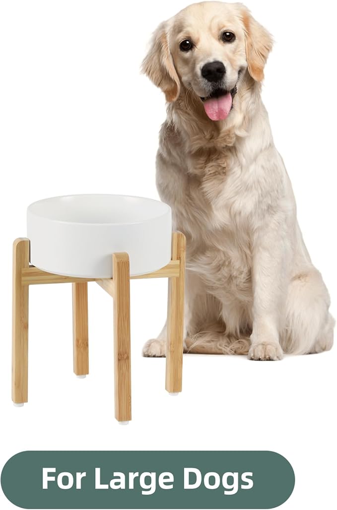 Ceramic Raised Dog Bowl Set, Elevated Dog Bowl