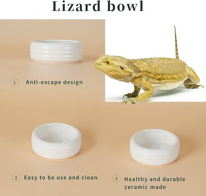 Reptile Food Bowls Ceramic Round Reptile Water Food Dish, Pet Food Bowl for Lizards, Small Snakes, Young Bearded Dragons, Gecko Tortoise Spider (White, Medium-1Pack)