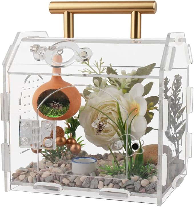 Jumping Spider Enclosure,Premium Acrylic Spider Enclosure - Ideal for Tarantulas, Reptiles, and Insects - Easy Assembly & Feeding - All-Round Transparent Terrarium
