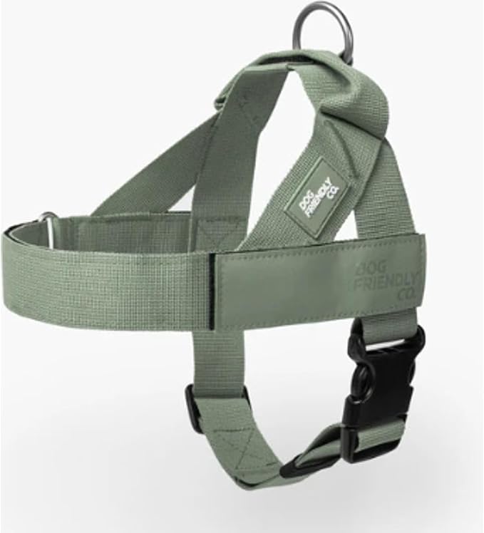 Dog Friendly Co. Dog Harness for Small Dogs (Khaki, Extra Small) | One Click Buckle, Chafe Resistant Webbing, Adjustable Neck & Chest, and Heavy Duty D-Ring, Sturdy Comfortable and Easy to Use