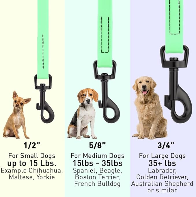 Dogline Biothane Waterproof Dog Leash Strong Coated Nylon Webbing with Black Hardware Odor-Proof Easy to Clean High Performance for Small or Large Dogs Made in USA 4 or 6 ft Lead, Sea Foam Green