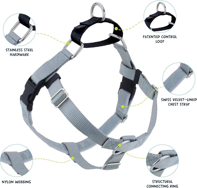 2 Hounds Design Freedom No Pull Dog Harness, Adjustable Harness and Leash Set, Easy Walking & Comfortable Control, Fits Small, Medium & Large Dogs, Solid Colors, Made in USA, 1" LG, Silver