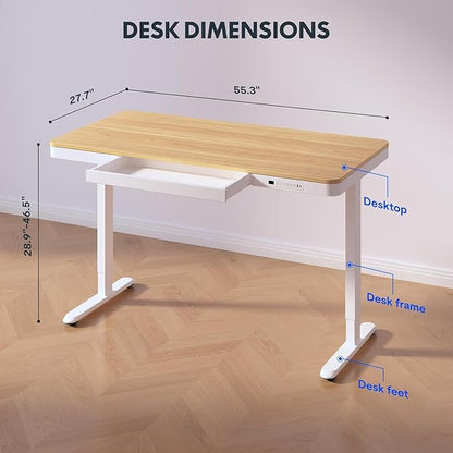 Standing Desk with Drawer, Electric Height Adjustable Home Office Desk with