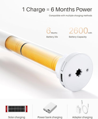 Smart Roller Shades for Windows, Alexa Blackout Motorized Blinds