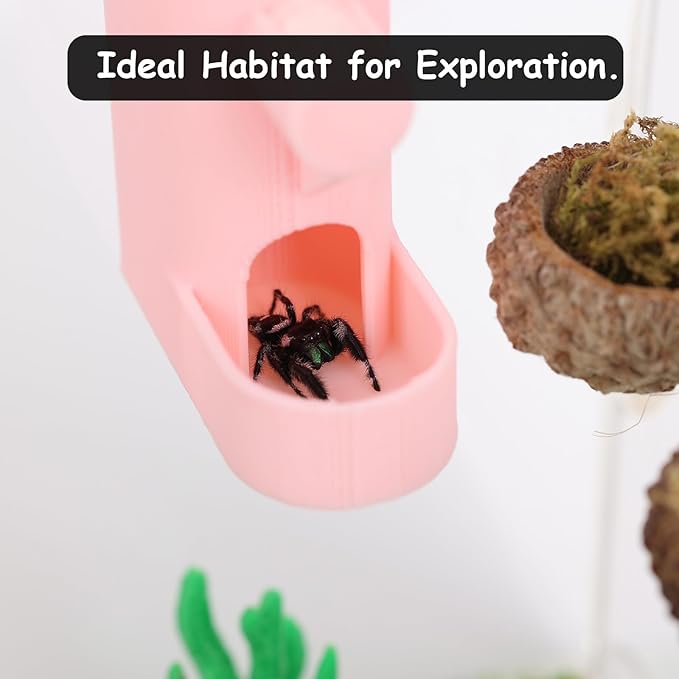 Small Animal Water Feeder, Magnetic Hanging Feeder & Hidden Cave - Accessories for Jumping Spiders, Wolf Spiders, Mantises, Arboreal Animals & Other Small Creatures - 5ML Capacity (Yellow)