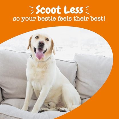 Zesty Paws Scoot Away Soft Chews - Healthy Bowel Function with Bromelain, Vita Fiber for Dogs, & Dandelion Root for Dog Digestive Support and Gut Health - 90 Soft Chews