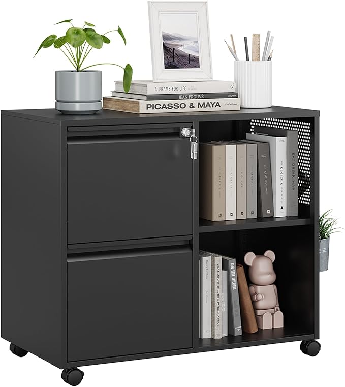 MIIIKO 2 Drawer File Cabinet on Wheels, Metal Filing Cabinets