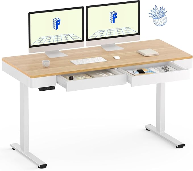 FLEXISPOT Q5 Standing Desk
