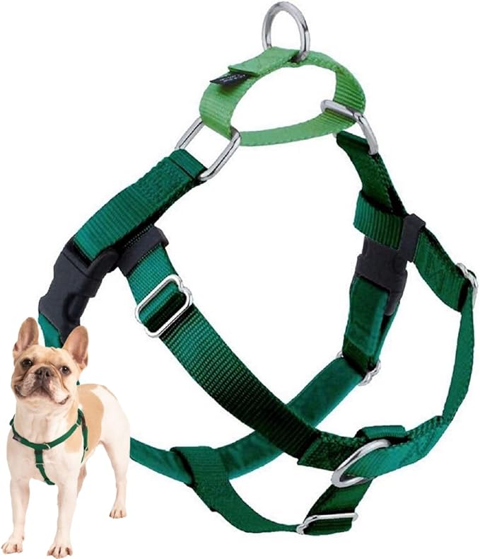2 Hounds Design Freedom No Pull Dog Harness, Adjustable Harness, Easy Walking & Comfortable Control, Fits Small, Medium & Large Dogs, Solid Colors, Made in USA, 5/8" MD, Kelly Green