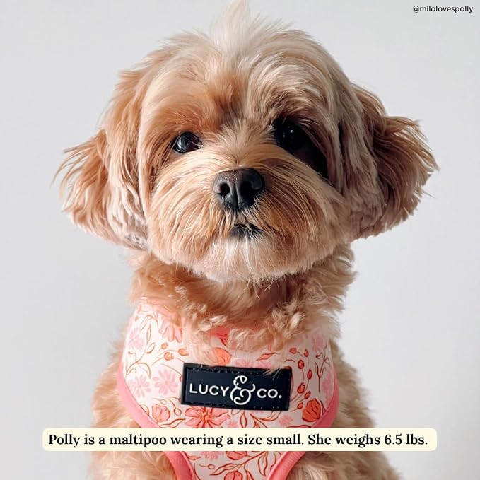 Lucy & Co. Reversible Dog Harness - Water-Repellent Neoprene, Dual-Print Design, Easy Swap Style, Adjustable Comfort Fit - Woodland Wildflowers Reversible Harness - Small
