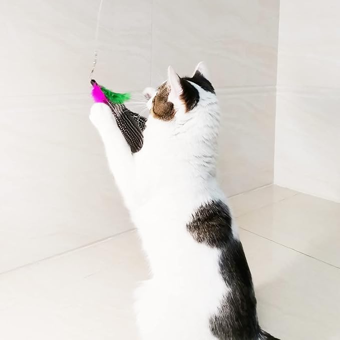 Cat Feather Toys Refills, 8 Pieces Natural Da Bird Feathers Refill, Cat Wand Replacement Feather for Indoor Cats (D)