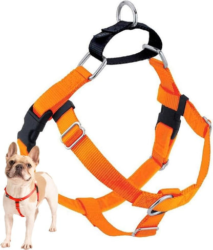 2 Hounds Design Freedom No Pull Dog Harness, Adjustable Harness, Easy Walking & Comfortable Control, Fits Small, Medium & Large Dogs, Solid Colors, Made in USA, 1" XL, Neon Orange