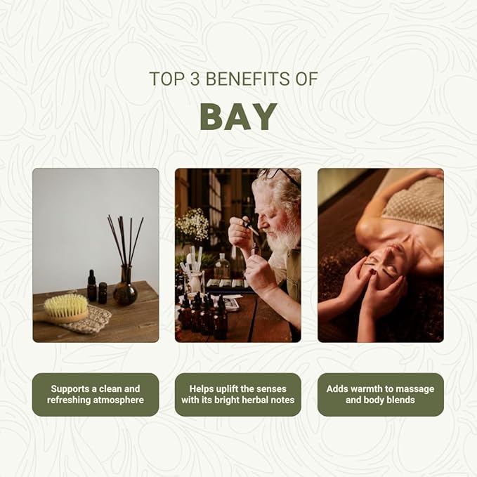 Bay Essential Oil