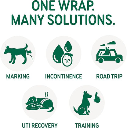 PAWPANG Copper Fit Mate Washable Male Dog Belly Band Kit – 1 Reusable Male Wrap with 15 Dog Diaper Liners, Ideal for Senior Dogs, Incontinence, and Marking, L